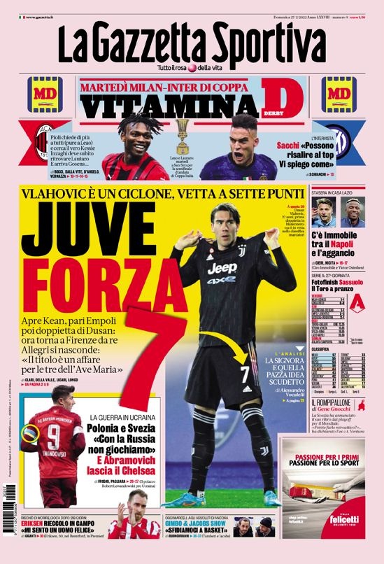 球爱好者的 球爱好者的